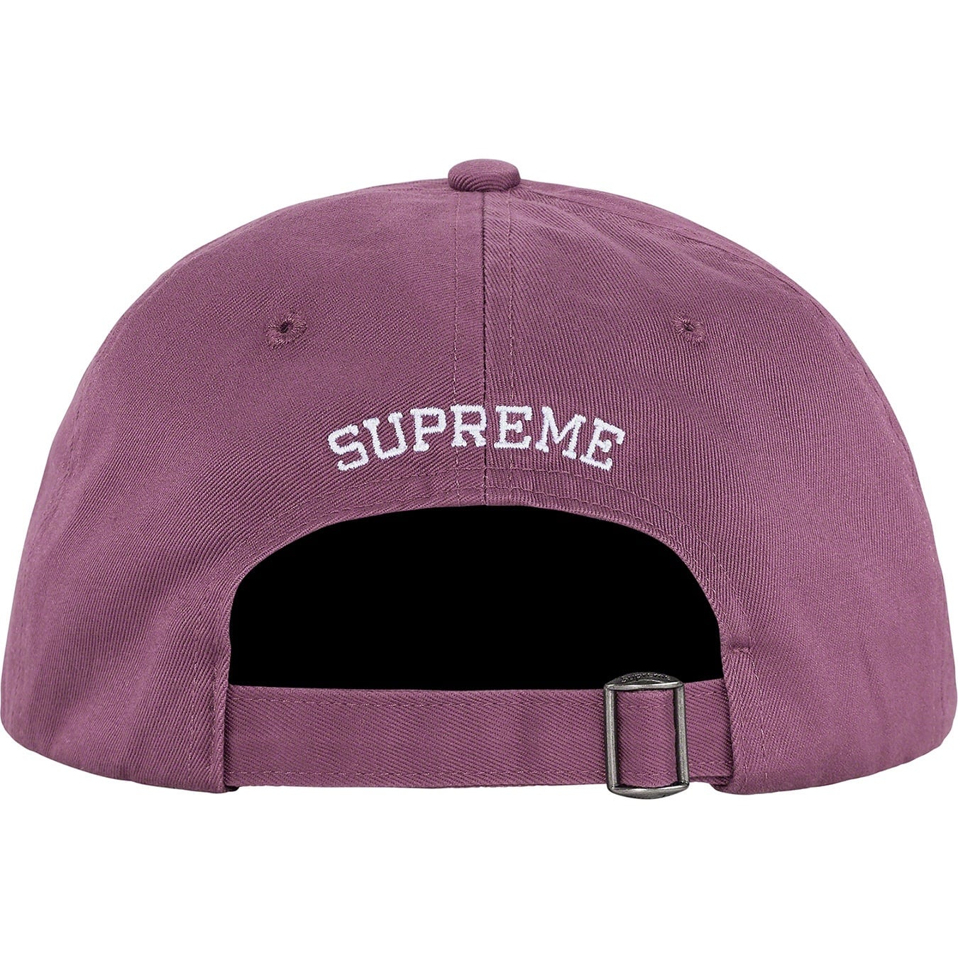 World Famous 6-Panel view 13